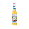 MONIN SIROP DE NOISETTE LIGHT