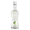 MONIN LIQUOR MANZANA VERDE
